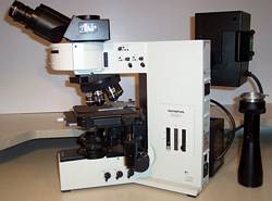 Olympus BX-60 Biological Microscope